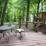 Living Forest