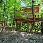 Living Forest Apartamento *