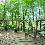 Living Forest * Moravske Toplice