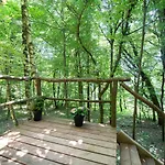 Living Forest Apartment