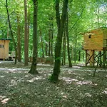 Living Forest