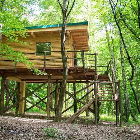 Lägenhet Living Forest *