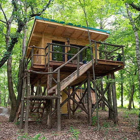 Living Forest * Moravske-Toplice