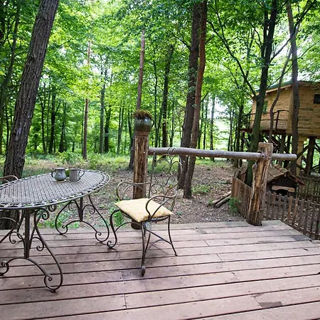 Living Forest