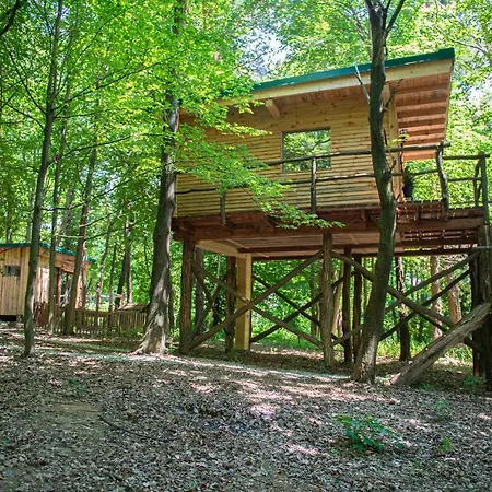 Living Forest Apartman *