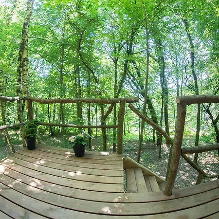 Living Forest * Moravske-Toplice