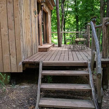 Living Forest Moravske-Toplice