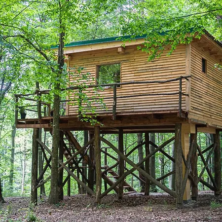 Living Forest Appartement