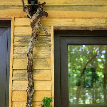 Living Forest Apartman Moravske Toplice