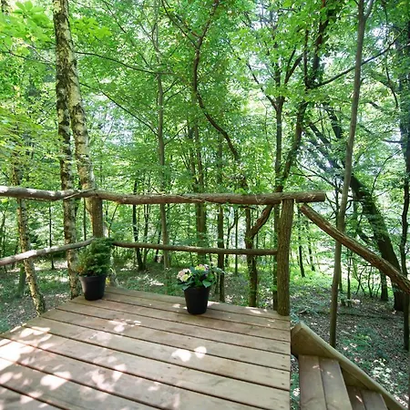 Living Forest Appartement