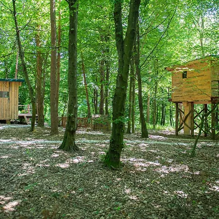 Living Forest