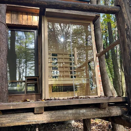 Living Forest * Moravske-Toplice