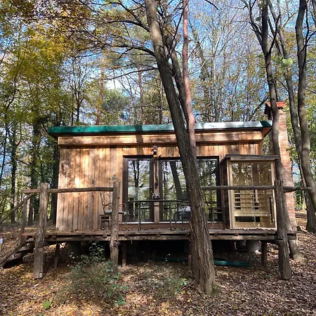 Appartement Living Forest