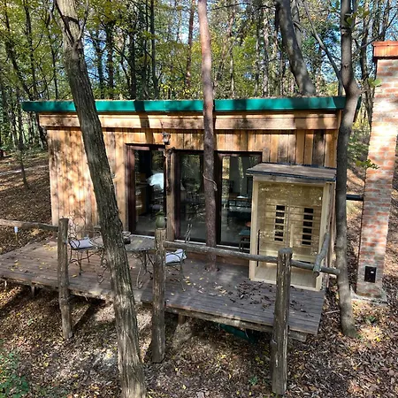 Appartamento Living Forest