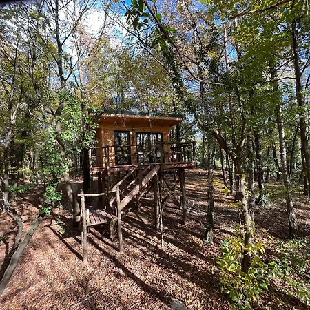 Living Forest Appartamento *