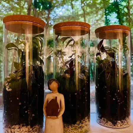 Living Forest Apartman *