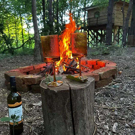 Living Forest Lägenhet Moravske-Toplice