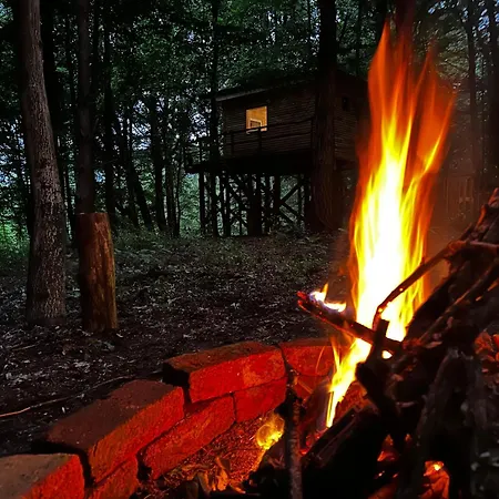 Living Forest Apartman Moravske Toplice