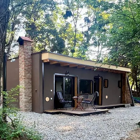 Living Forest * Moravske-Toplice