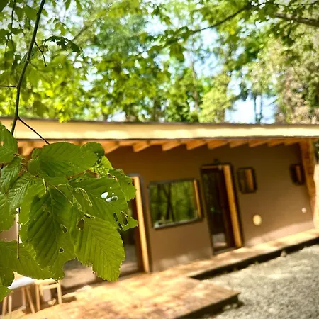 Apartman Living Forest