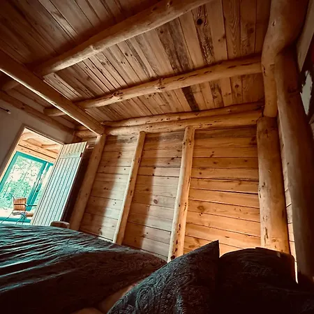 Apartman Living Forest *