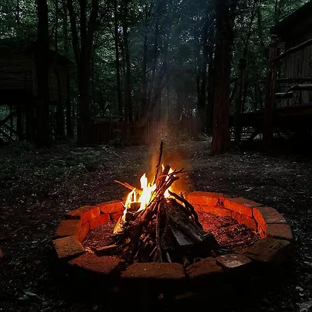 Living Forest