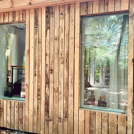 Apartman Living Forest