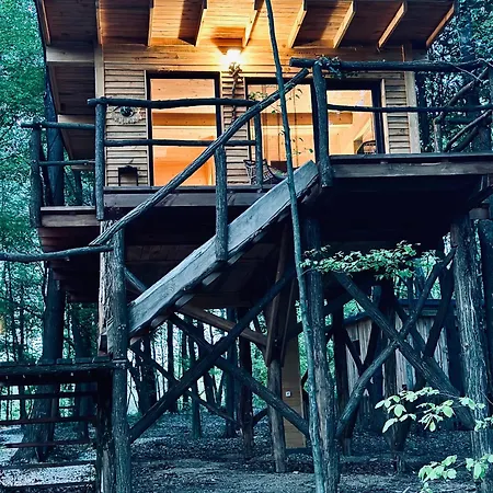 Apartman Living Forest