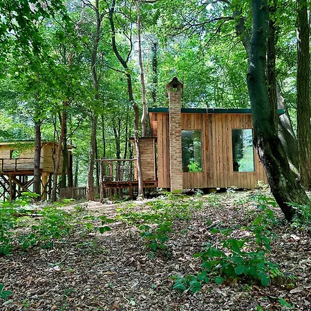 Living Forest Moravske-Toplice