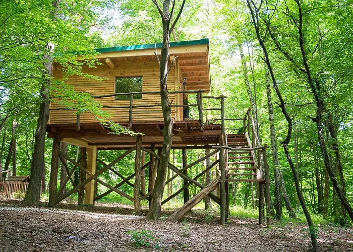 شقة Living Forest *