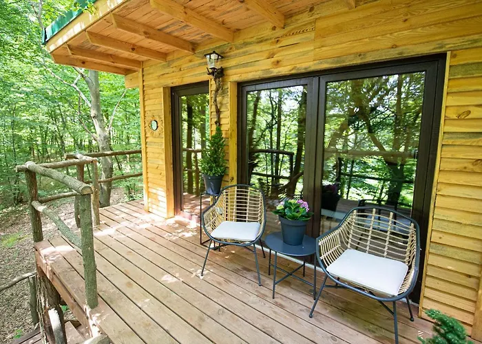 Living Forest * Moravske-Toplice