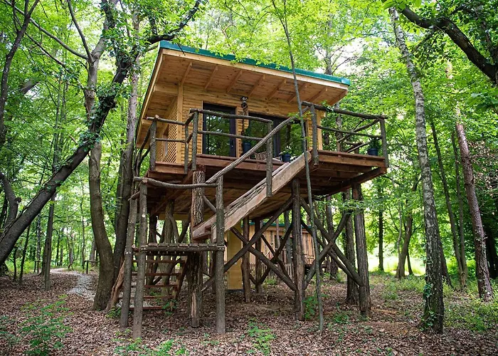 Living Forest * مورفسكه تيبليتسه