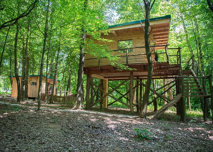 Living Forest Daire *