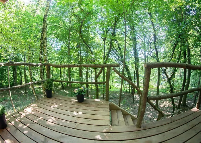 Living Forest * مورفسكه تيبليتسه