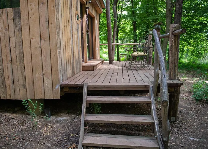 Living Forest مورفسكه تيبليتسه