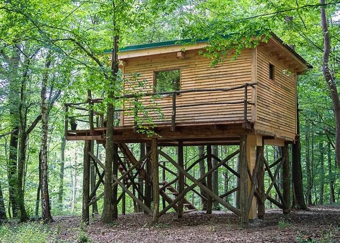 Living Forest شقة