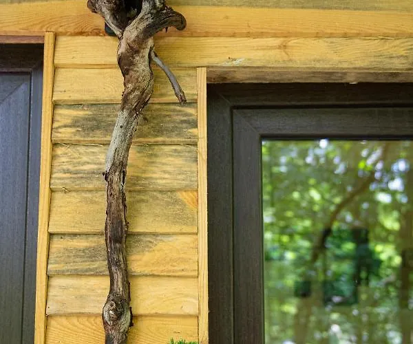 Living Forest شقة مورفسكه تيبليتسه