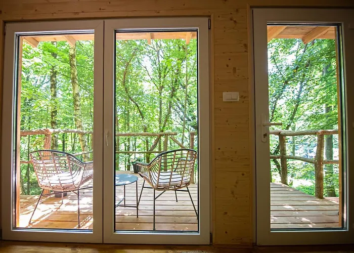 Living Forest Daire *