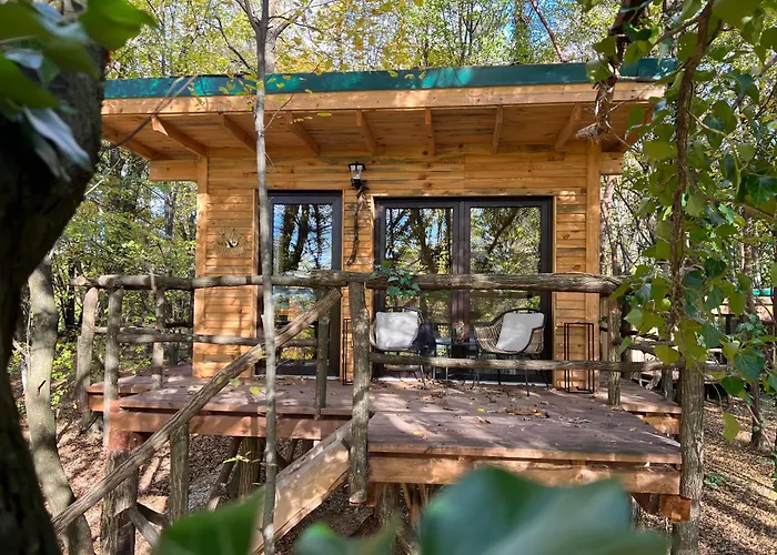 شقة Living Forest