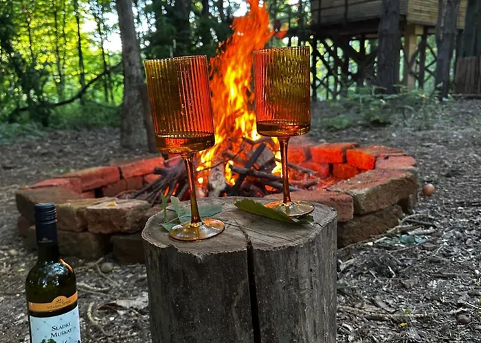 Living Forest Daire Moravske-Toplice