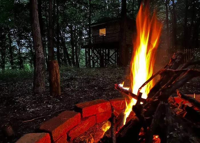 Living Forest شقة مورفسكه تيبليتسه