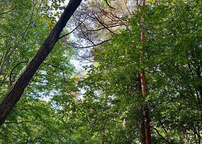 Living Forest شقة *