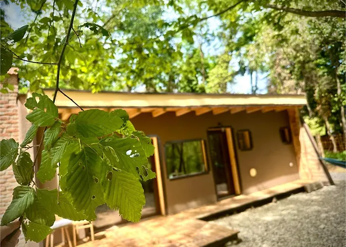 شقة Living Forest