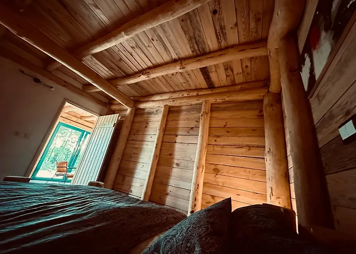 شقة Living Forest *