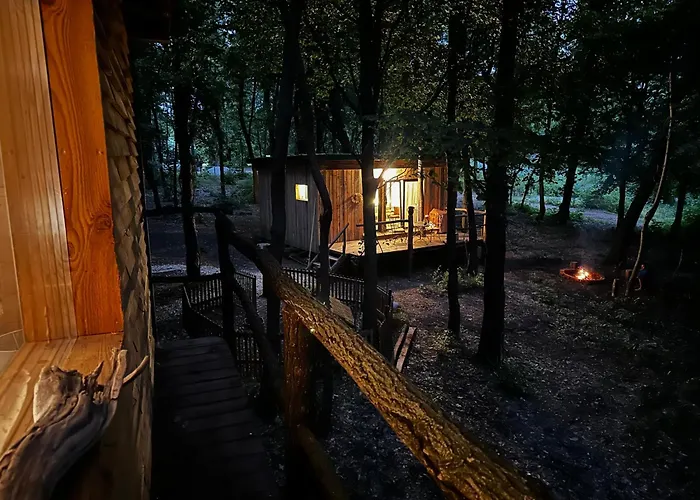 Daire Living Forest *