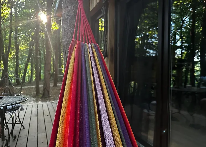 Living Forest مورفسكه تيبليتسه