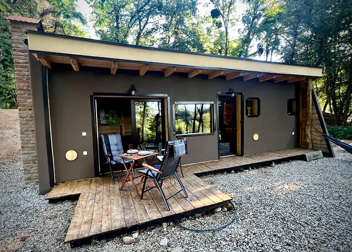 Living Forest Daire *