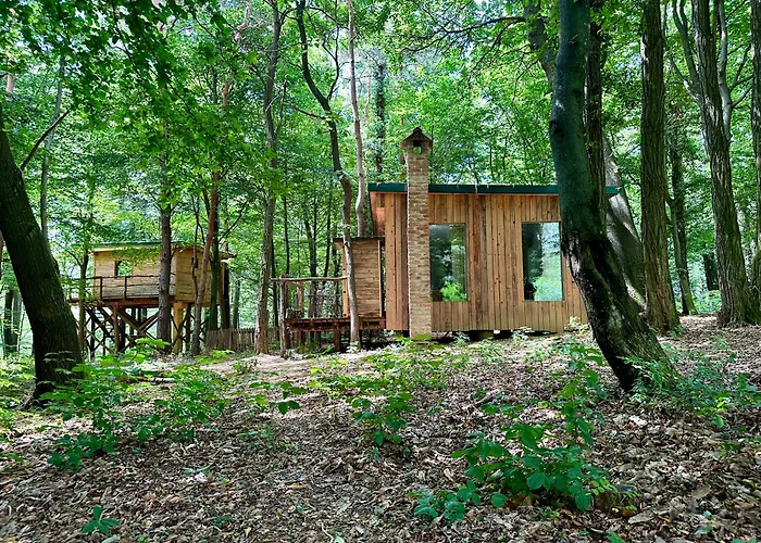 Living Forest مورفسكه تيبليتسه