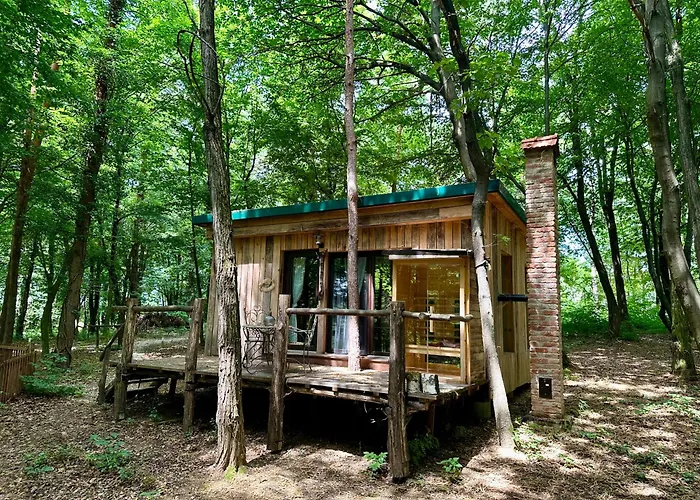 Living Forest Moravske-Toplice